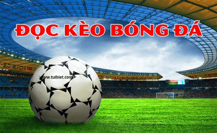 Tìm hiểu về kèo bóng đá